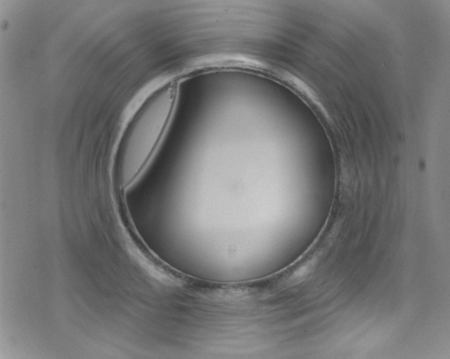 X0000077401082200610201034