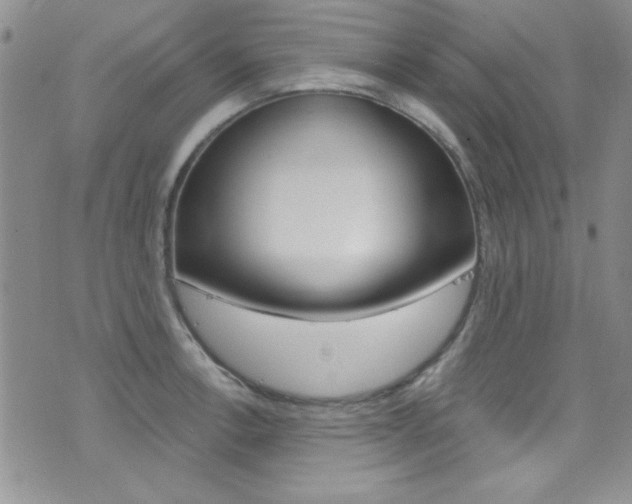 X0000077401138200610201033