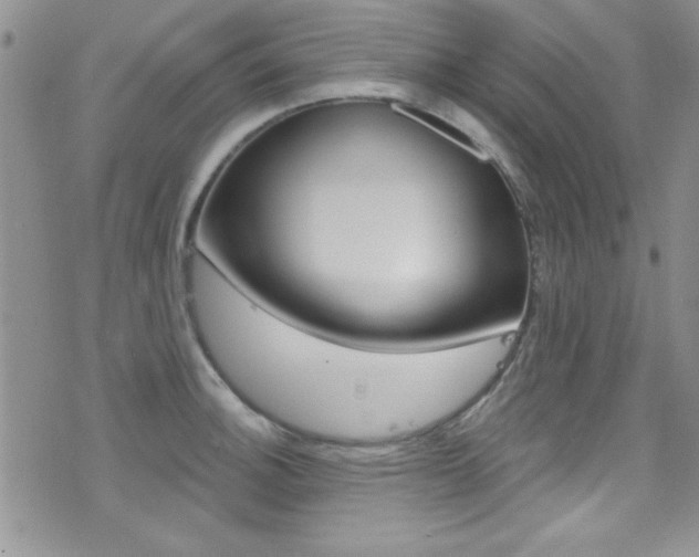 X0000077401140200610201033