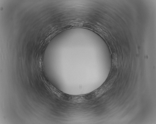 X0000077401154200610201033