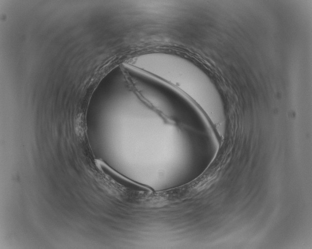 X0000077401156200610201033
