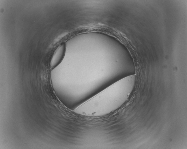 X0000077401158200610201033