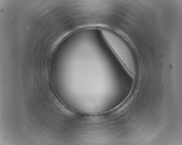 X0000077401177200610201032