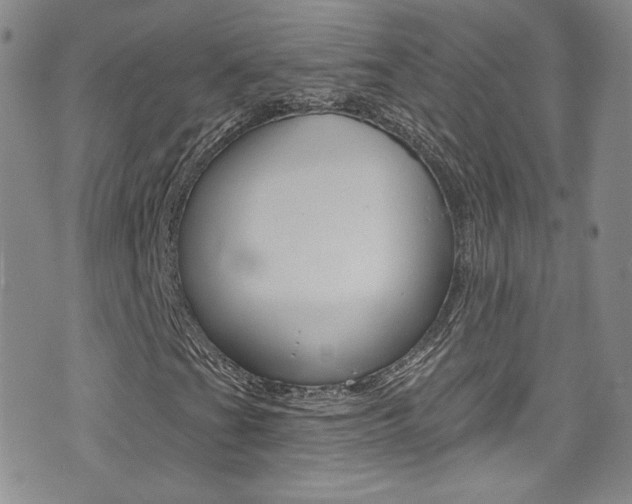 X0000077401201200610201031