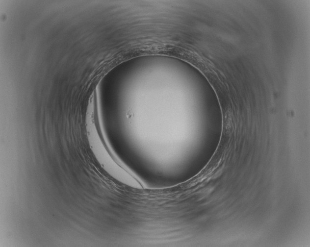 X0000077401202200610201031