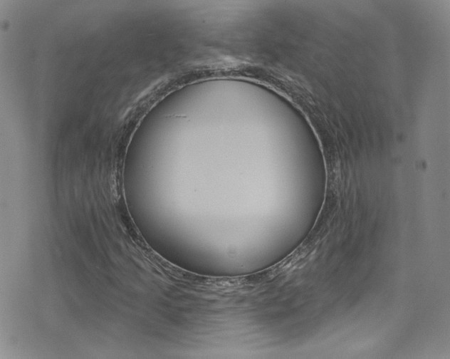 X0000077401205200610201031