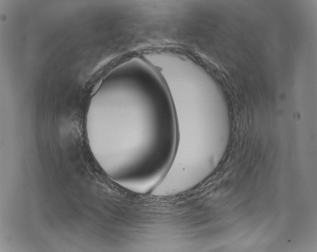 X0000077401206200610201031