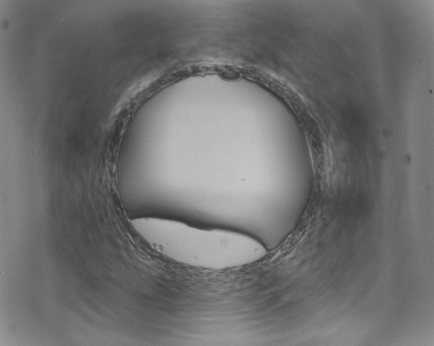 X0000077401207200610201031
