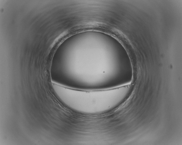 X0000077401210200610201031