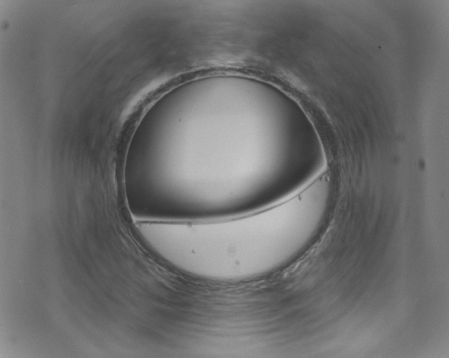X0000077401214200610201031