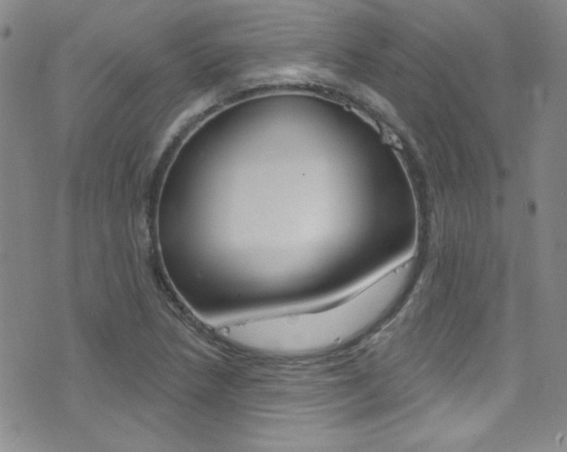 X0000077401218200610201031