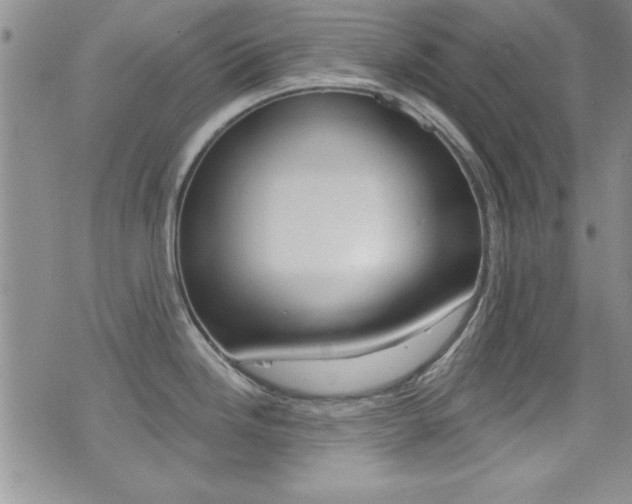 X0000077401246200610201032