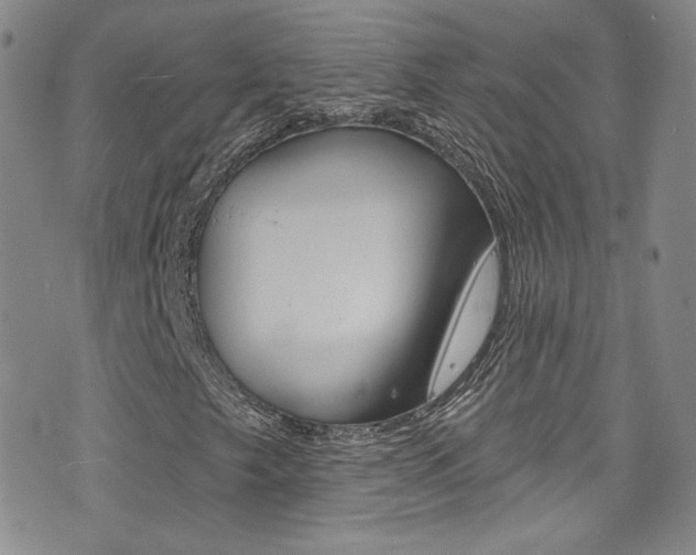 X0000077401249200610201031