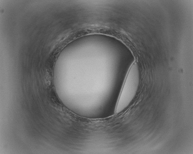 X0000077401253200610201031