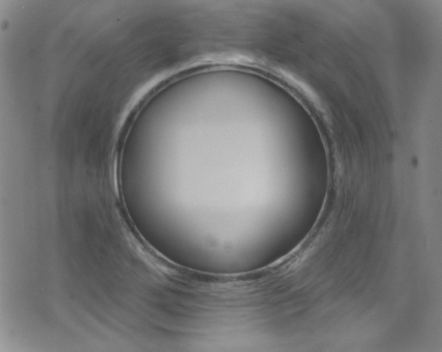 X0000077401272200610201031