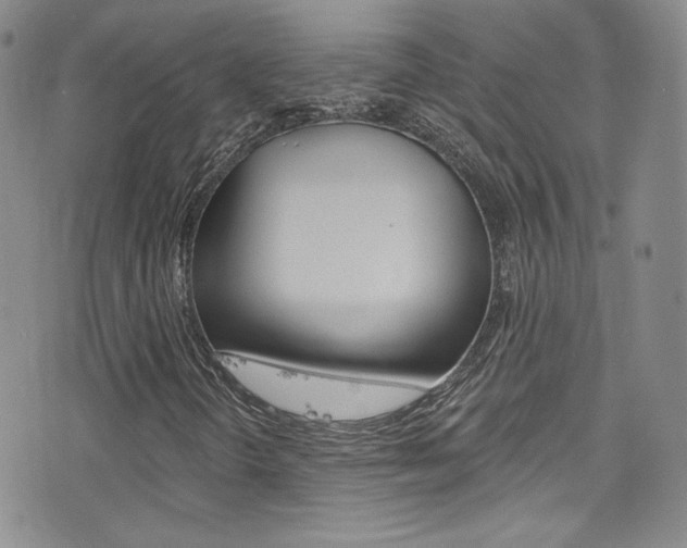 X0000077401298200610201030