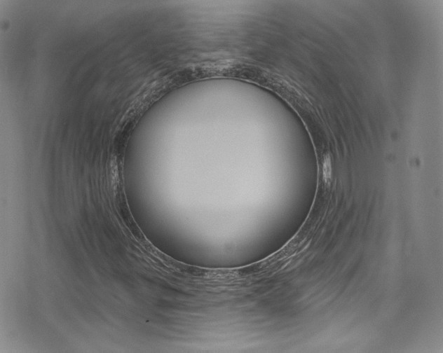 X0000077401299200610201030