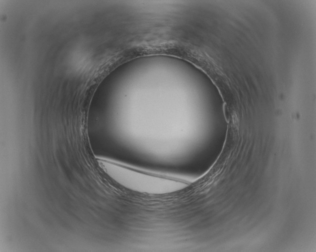 X0000077401300200610201030