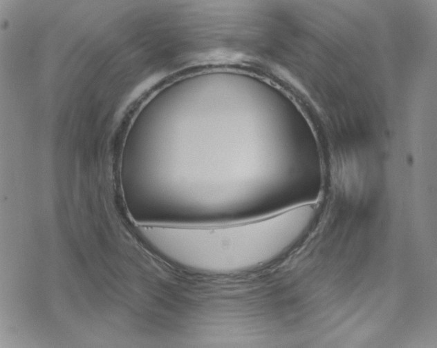 X0000077401315200610201030