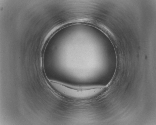 X0000077401324200610201030