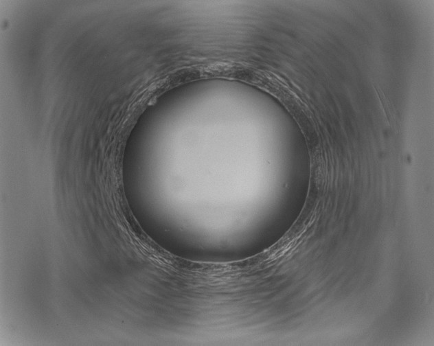 X0000077401345200610201030