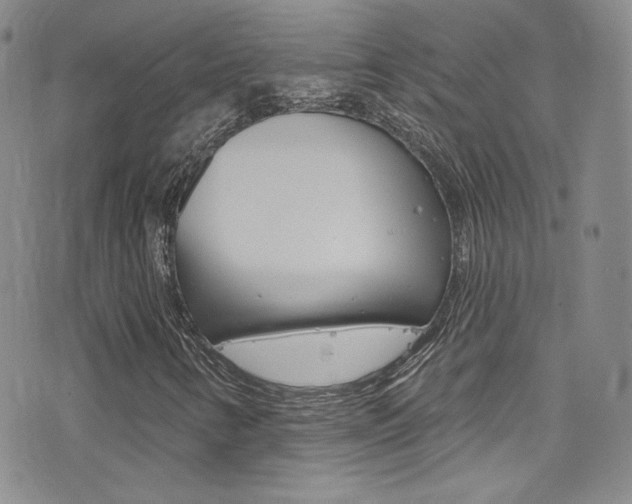 X0000077401346200610201030