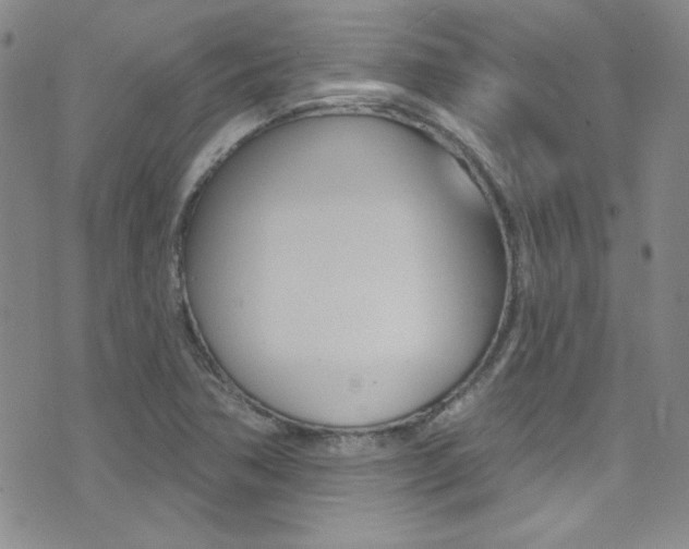 X0000077401362200610201029