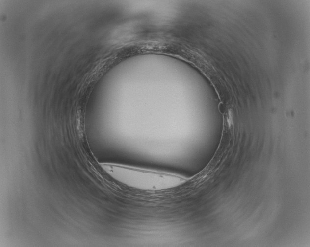 X0000077401396200610201028