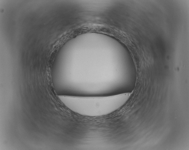 X0000077401397200610201028