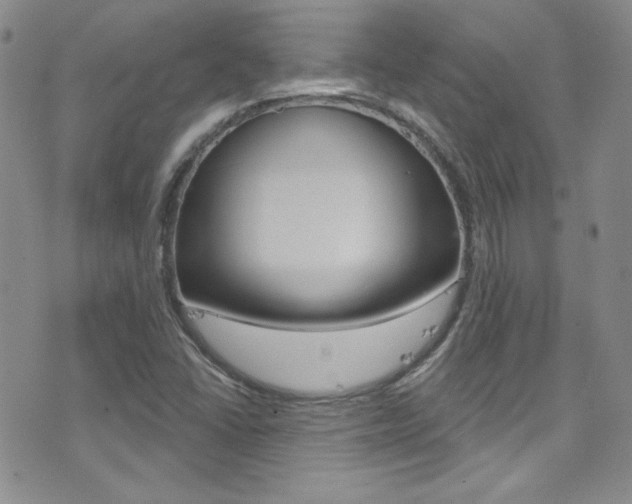 X0000077401406200610201028