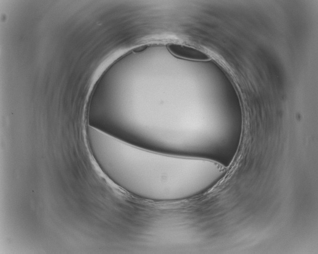 X0000077401440200610201029