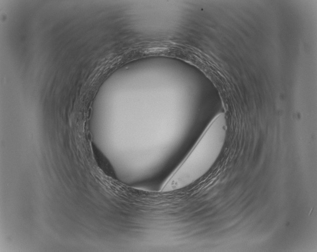 X0000077401441200610201028