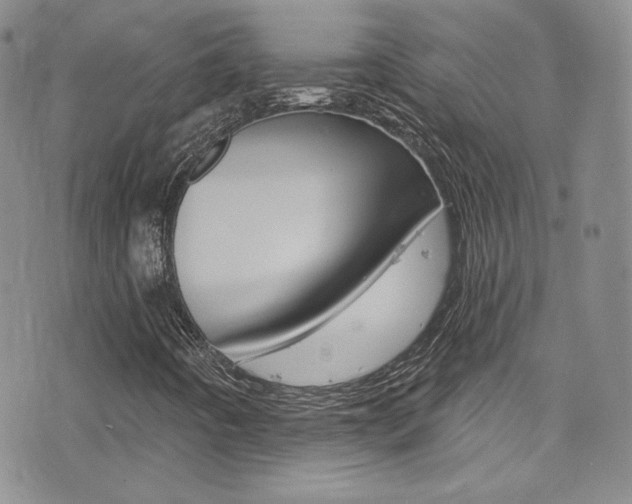 X0000077401442200610201028