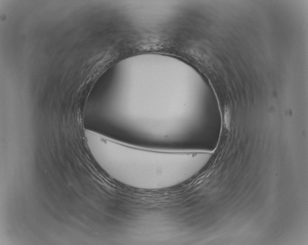 X0000077401444200610201028