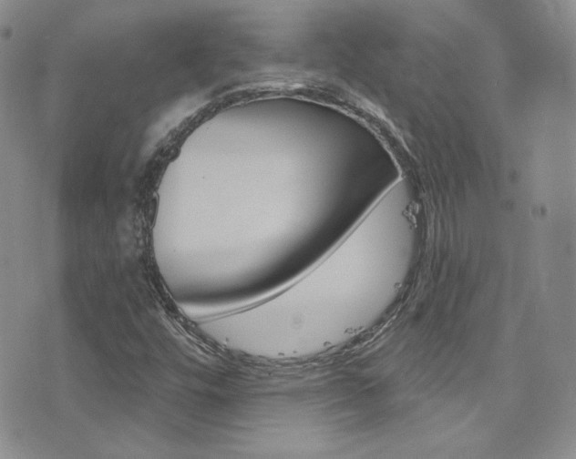 X0000077401448200610201028