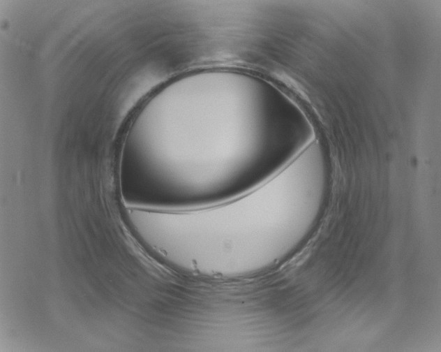 X0000077401458200610201028