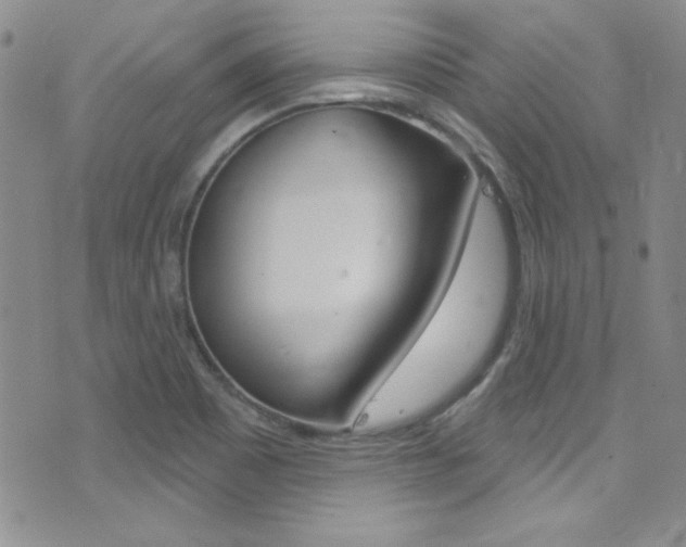 X0000077401465200610201028
