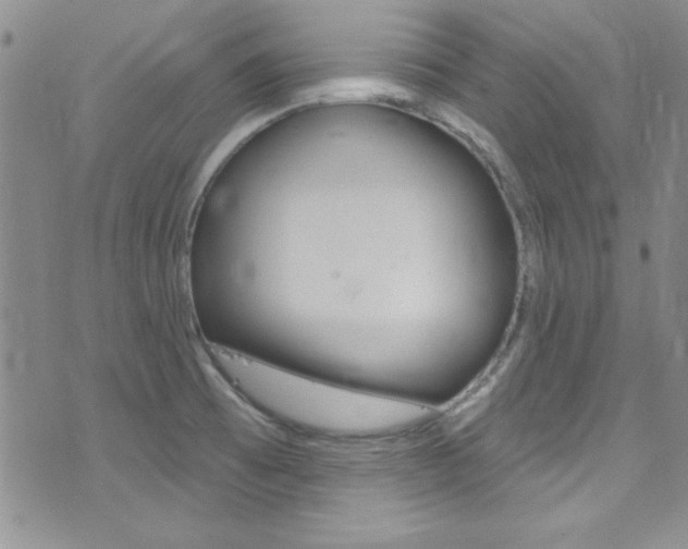 X0000077401473200610201027