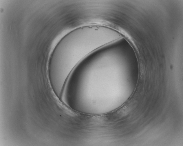 X0000077401480200610201027