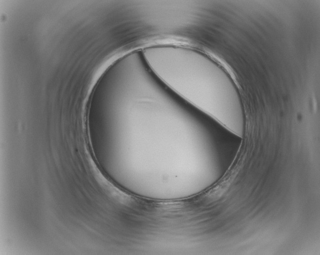 X0000077401483200610201027