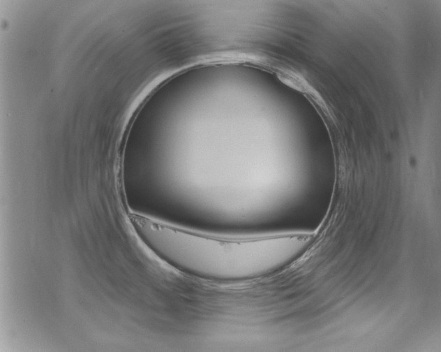 X0000077401484200610201027