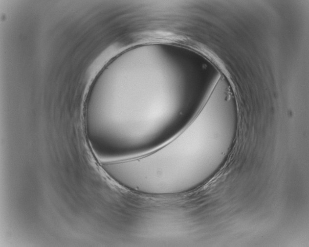 X0000077401488200610201027