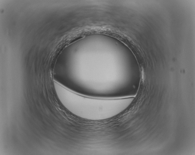 X0000077401492200610201026