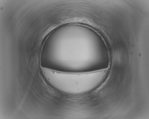 X0000077401505200610201027