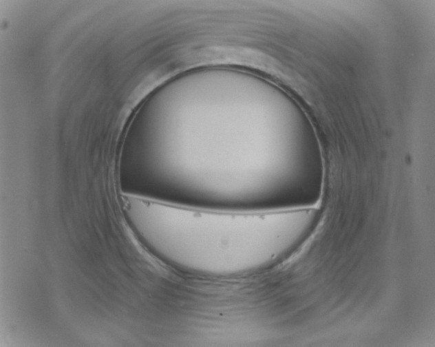 X0000077401513200610201027