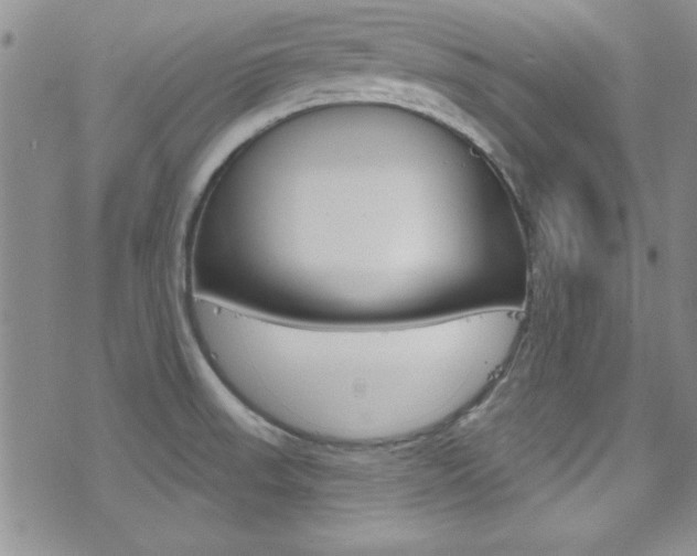 X0000077401523200610201027