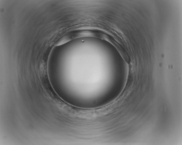 X0000077400029200610201456