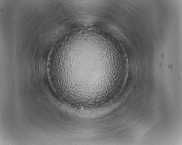 X0000077400030200610201456