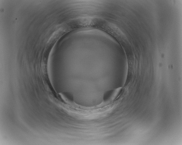 X0000077400035200610201456