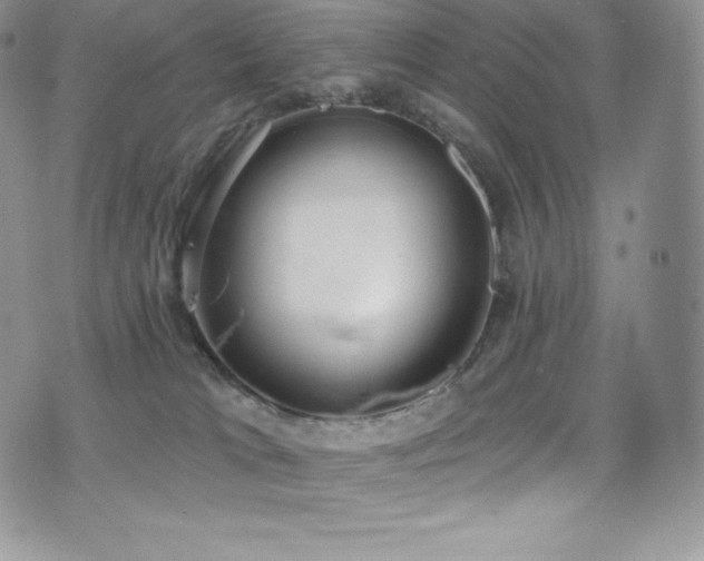 X0000077400037200610201456